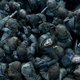 Image: HBO